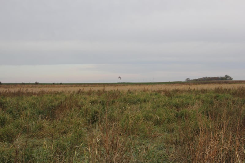 TBD 121st St, Lake Wilson, MN 56151