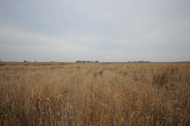 TBD 121st St, Lake Wilson, MN 56151
