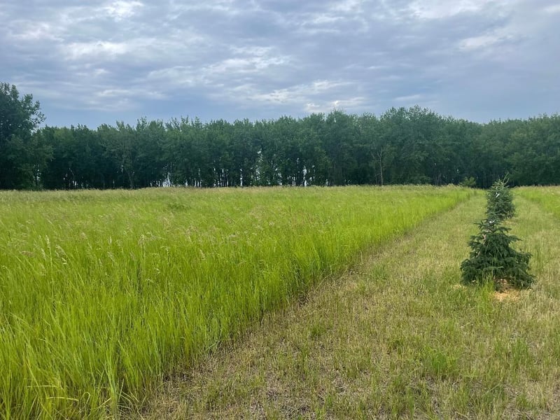 10220 State Hwy 9 S, Barnesville, MN 56514