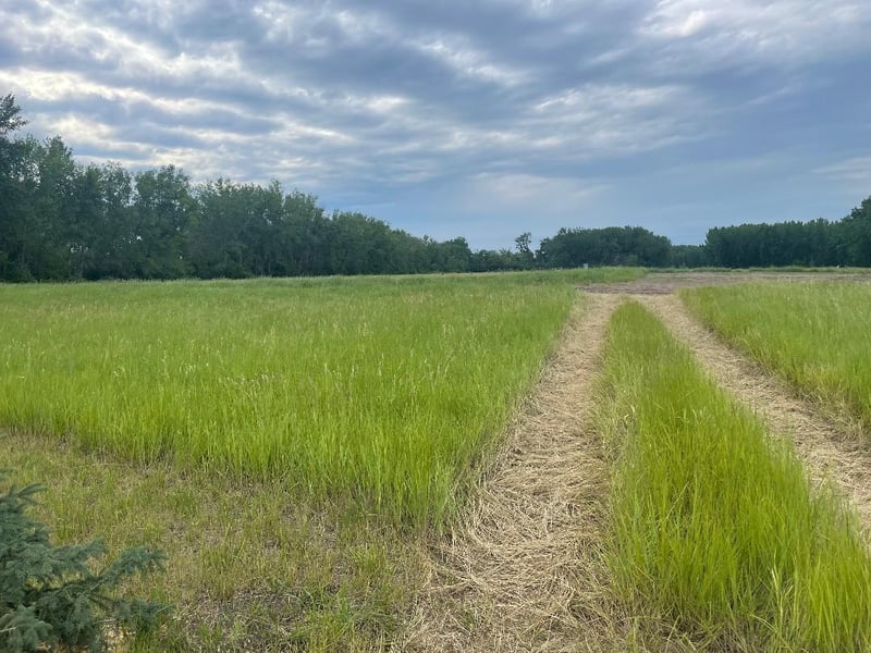 10220 State Hwy 9 S, Barnesville, MN 56514