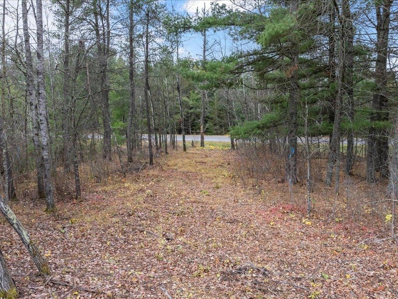 L1 B1 County Road 1, Pine River, MN 56474