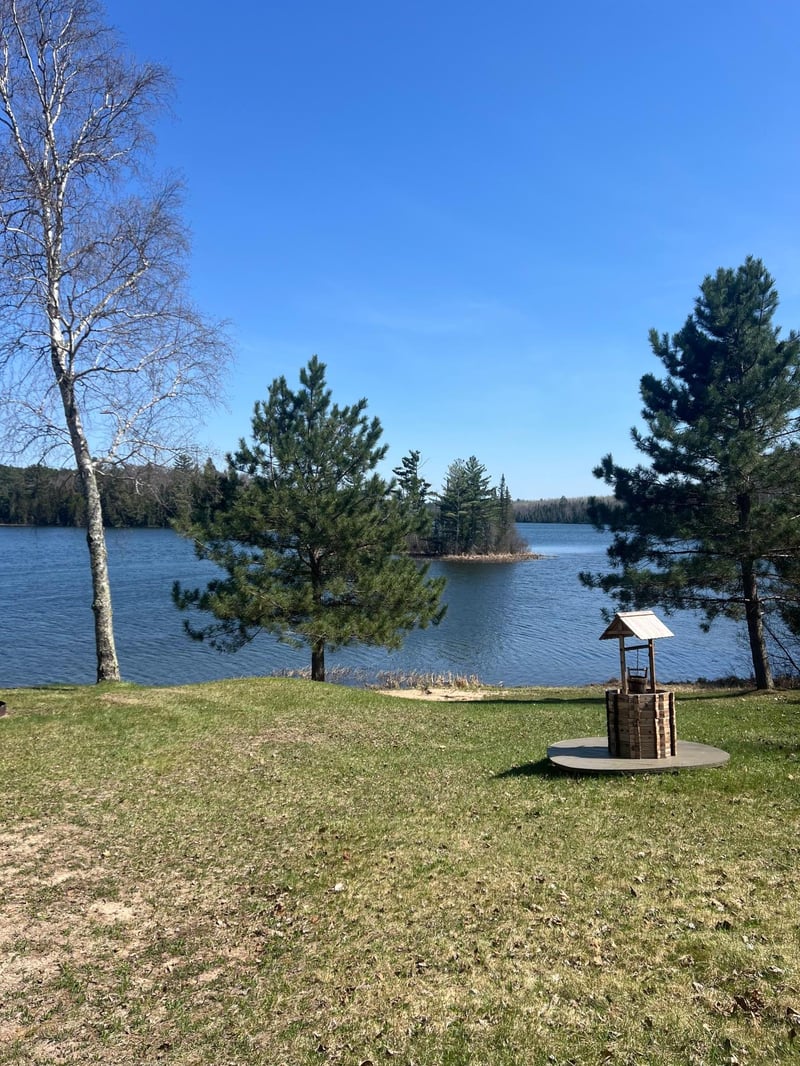 21482 Five Island Lake Rd, Cook, MN 55723