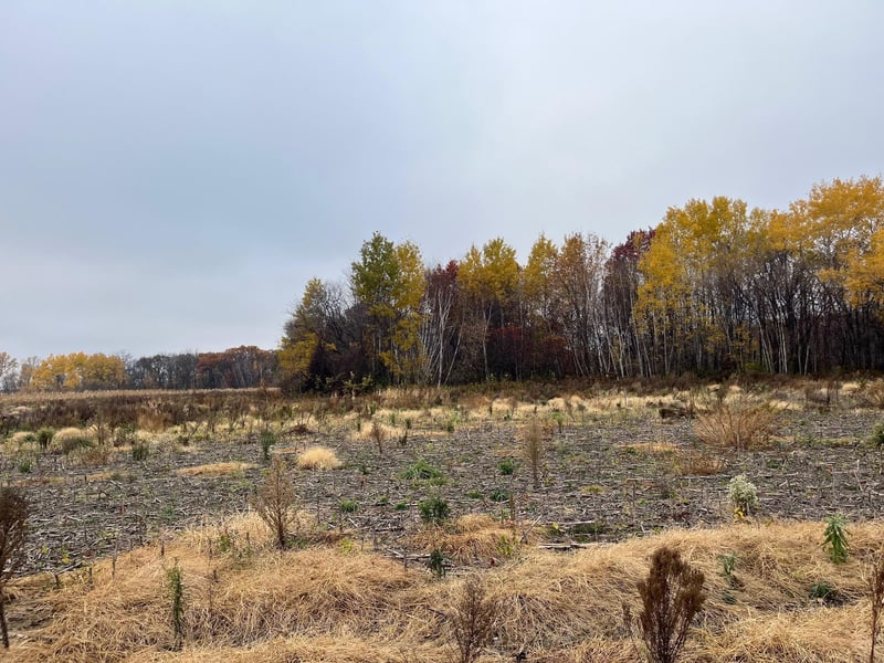 0 Brunswick Rd, Stanchfield, MN 55080