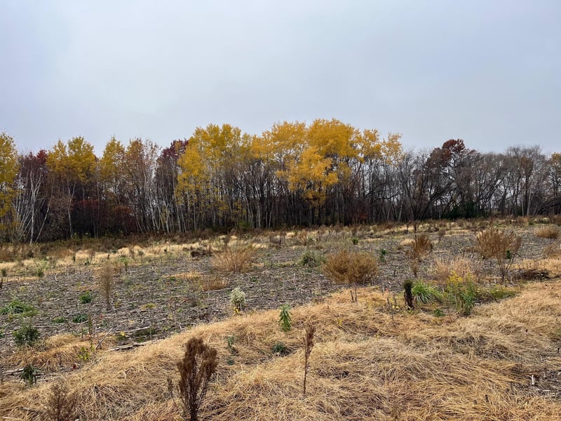 0 Brunswick Rd, Stanchfield, MN 55080