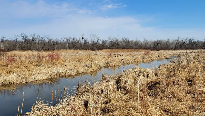513XX Leaf River Road Tract B, Ottertail, MN 56571
