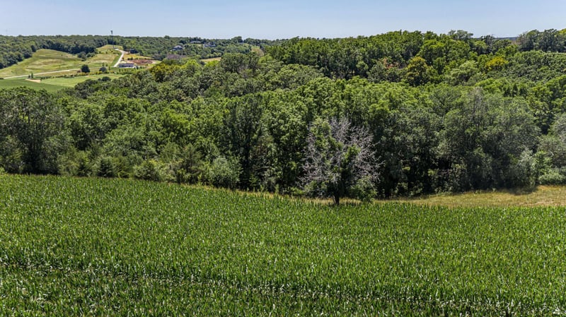 X Country Club Rd W, Rochester, MN 55902