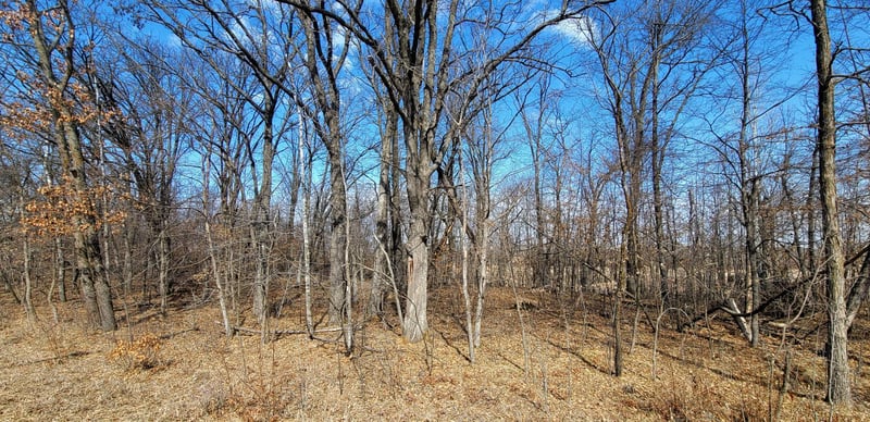 514XX Leaf River Road Tract C, Ottertail, MN 56571