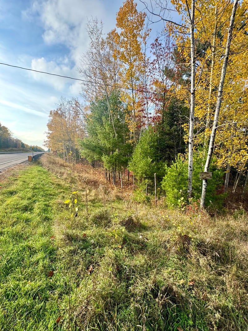18686 State Highway 200, Jacobson, MN 55752