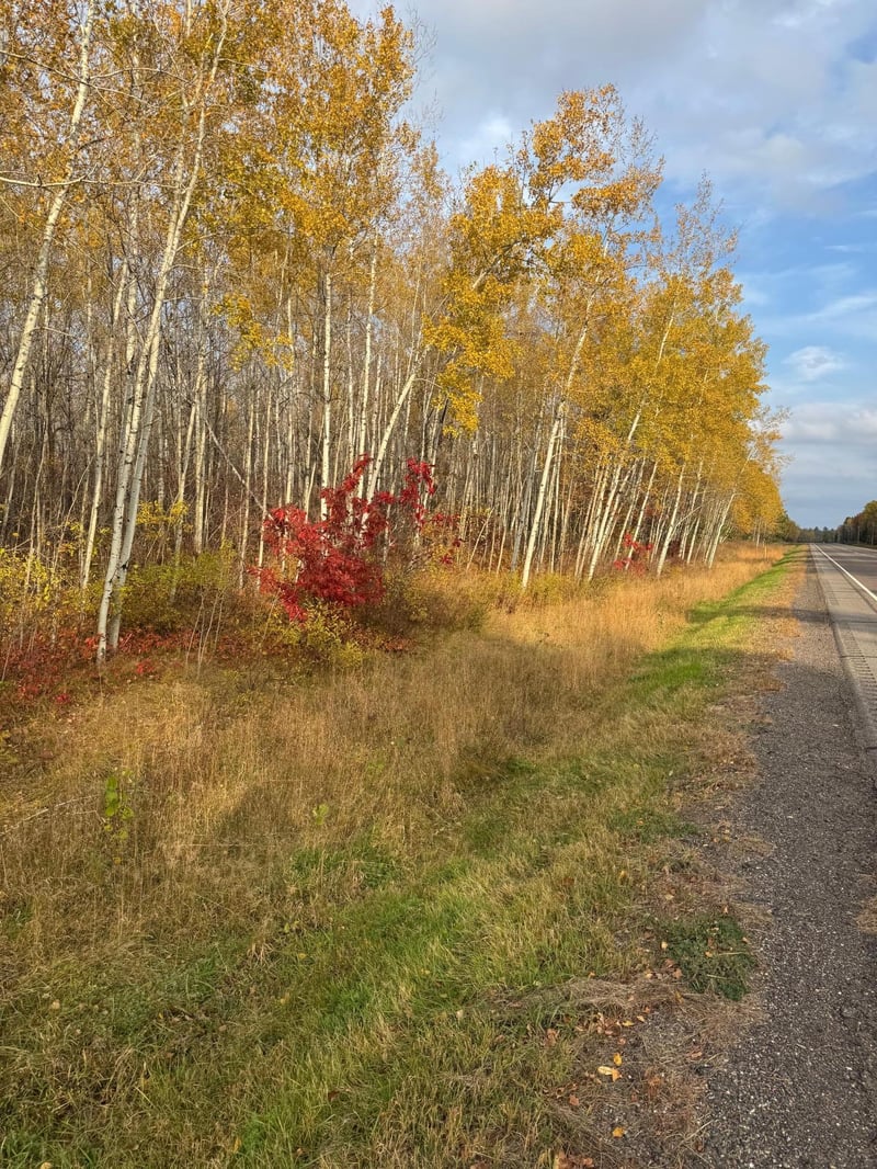 18686 State Highway 200, Jacobson, MN 55752