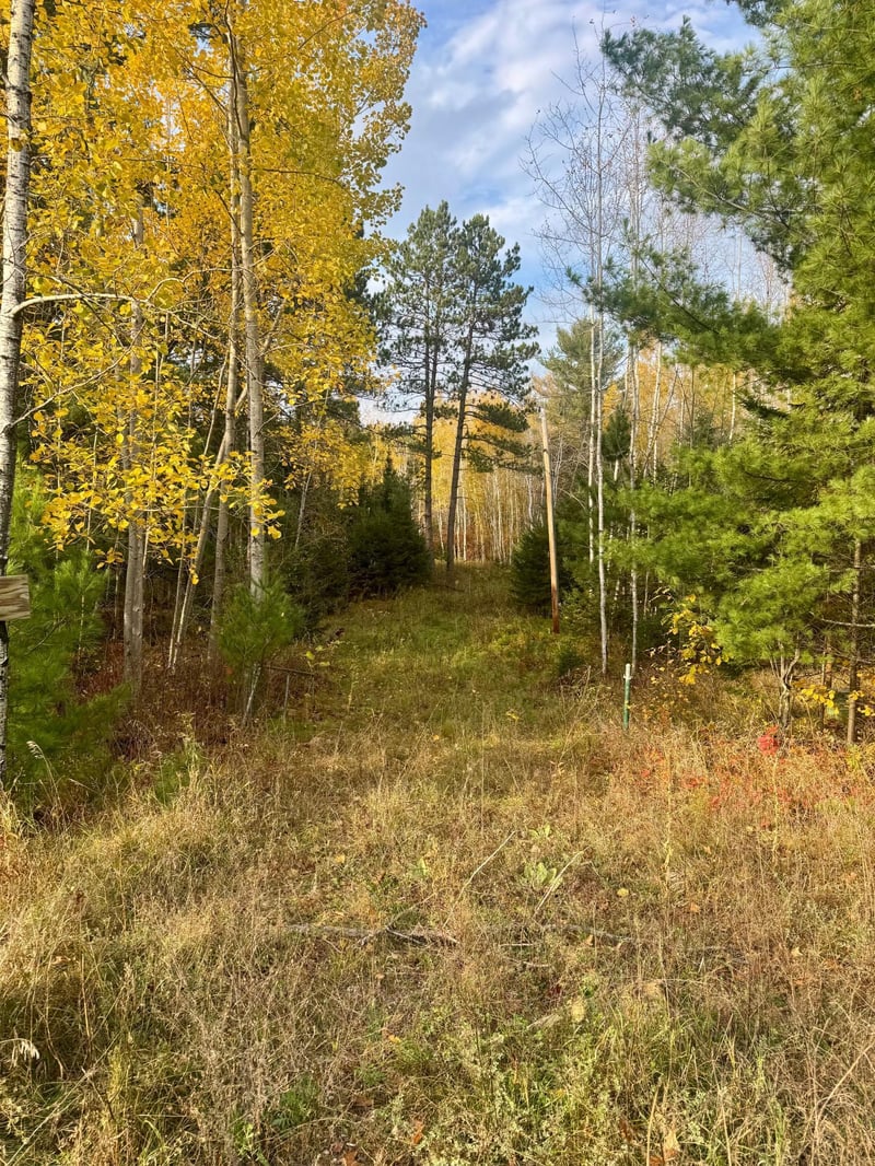 18686 State Highway 200, Jacobson, MN 55752
