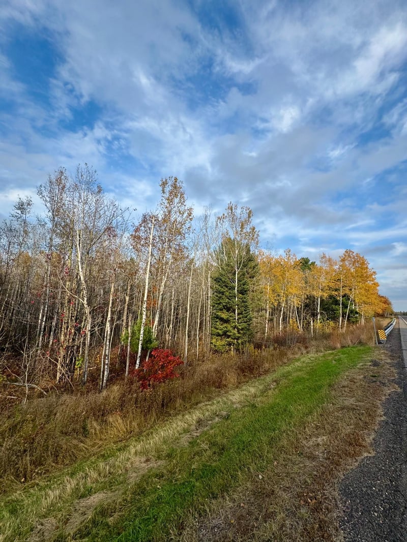18686 State Highway 200, Jacobson, MN 55752