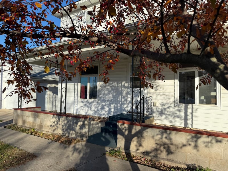 106 N 2nd St, Belview, MN 56214