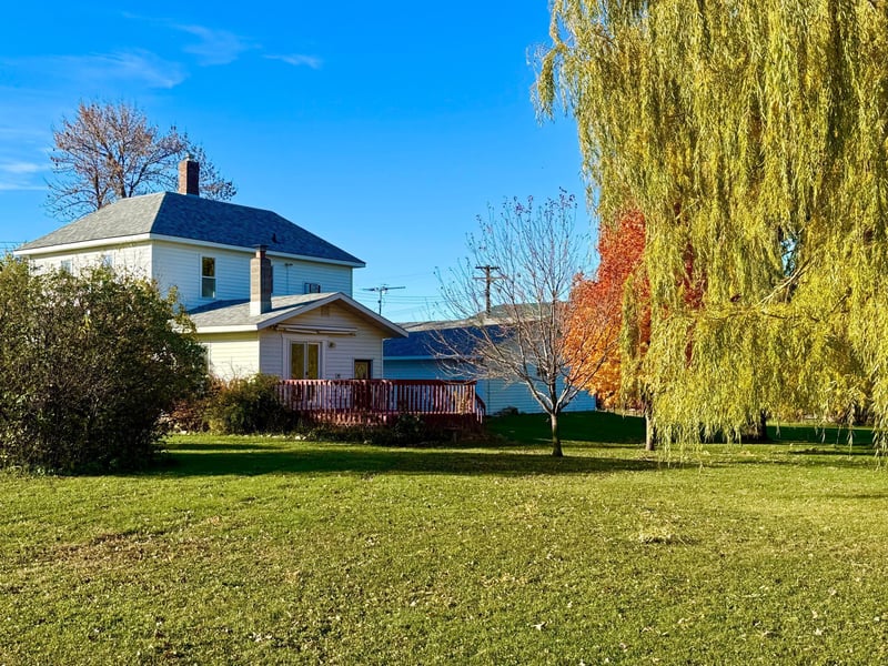 106 N 2nd St, Belview, MN 56214