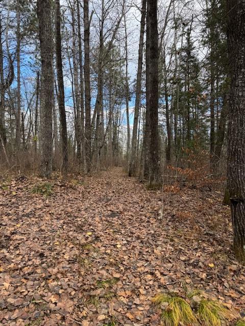 TBD County Road 1, Emily, MN 56447