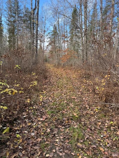 TBD County Road 1, Emily, MN 56447