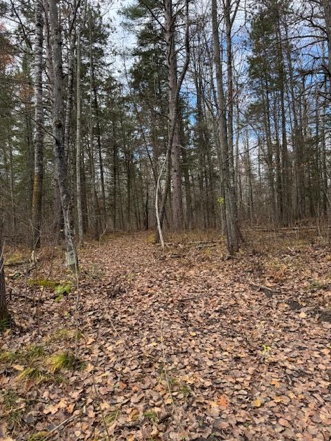 TBD County Road 1, Emily, MN 56447
