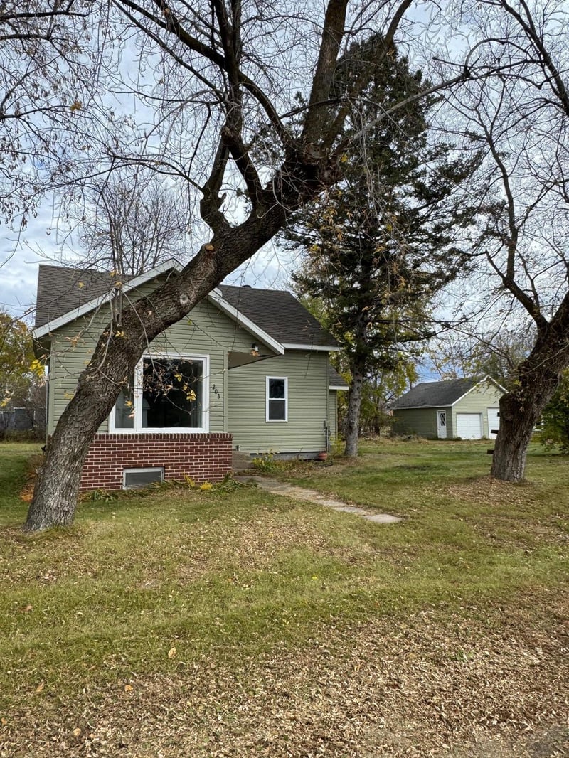 203 2nd Ave N, Dent, MN 56528