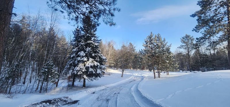 47011 Niemi Dr, Osage, MN 56570
