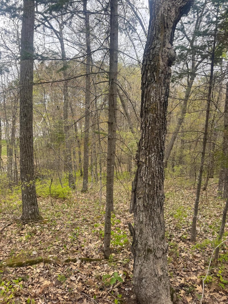 TBD Mn 18, Brainerd, MN 56401