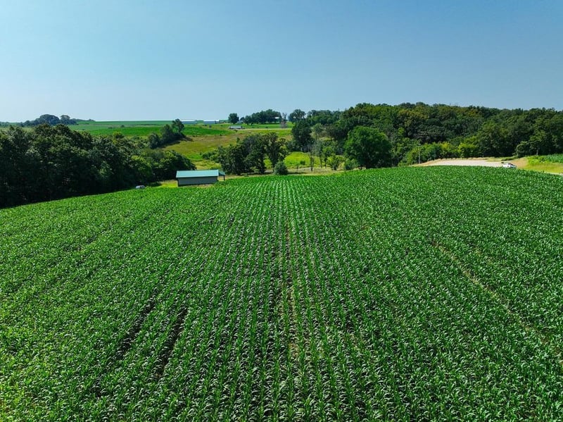 TBD30 Cherokee Rd, Saint Charles, MN 55972