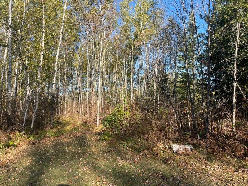 TBD-4 Oak Leaf Rd, Kerrick, MN 55756