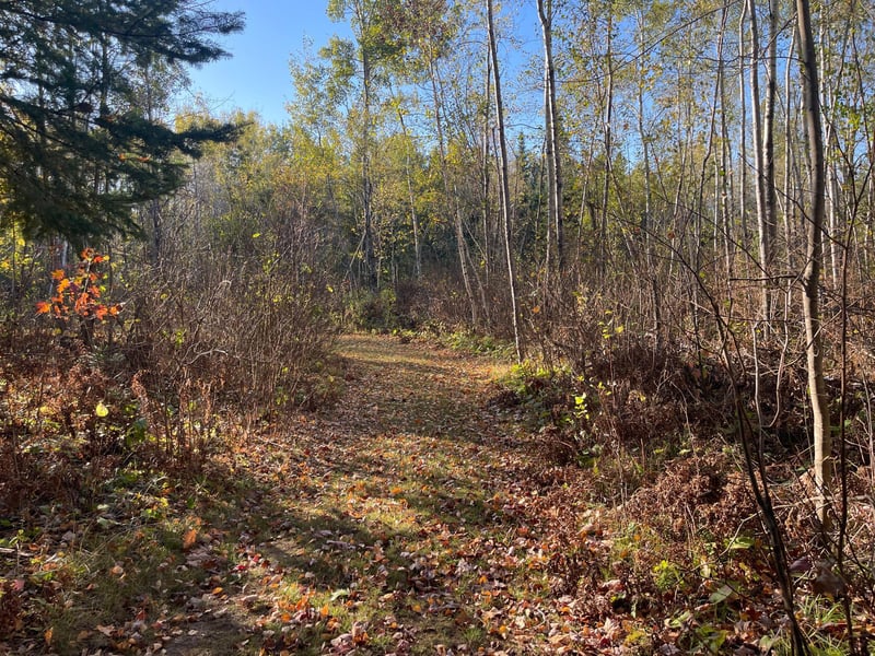 TBD-4 Oak Leaf Rd, Kerrick, MN 55756