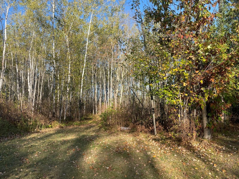 TBD-4 Oak Leaf Rd, Kerrick, MN 55756