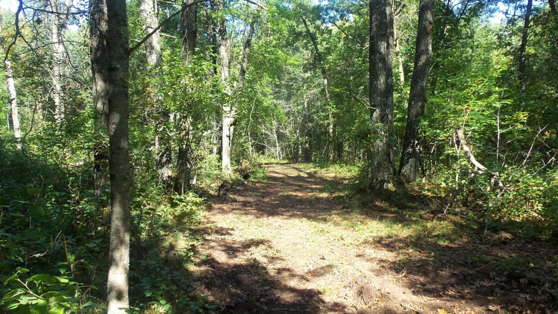 Lot 4 East River Rd, Grantsburg, WI 54840