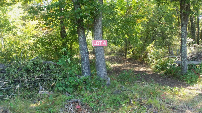 Lot 4 East River Rd, Grantsburg, WI 54840