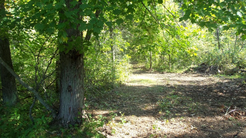 Lot 4 East River Rd, Grantsburg, WI 54840