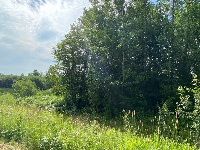 TBD 175th, Ogilvie, MN 56358