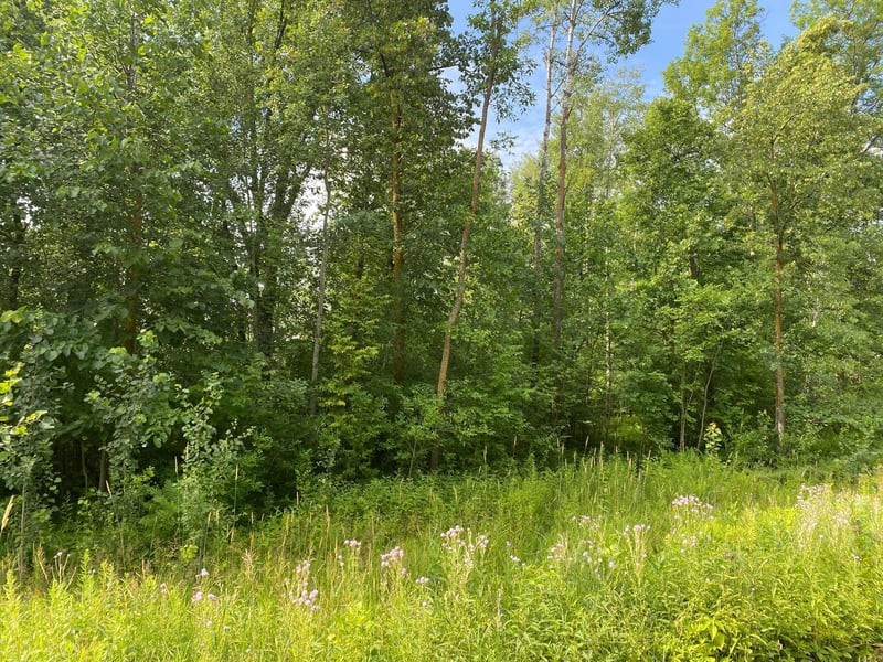 TBD 175th, Ogilvie, MN 56358