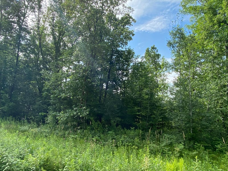 TBD 175th, Ogilvie, MN 56358
