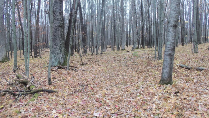 Lot 7 Herman Johnson Rd, Siren, WI 54872