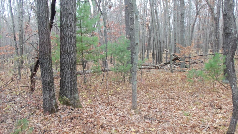 LOT 8 Herman Johnson Rd, Siren, WI 54872