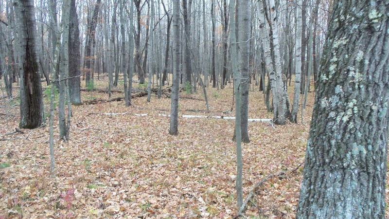 LOT 8 Herman Johnson Rd, Siren, WI 54872
