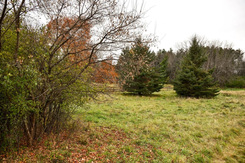 TBD Norsted Ave S, Afton, MN 55001