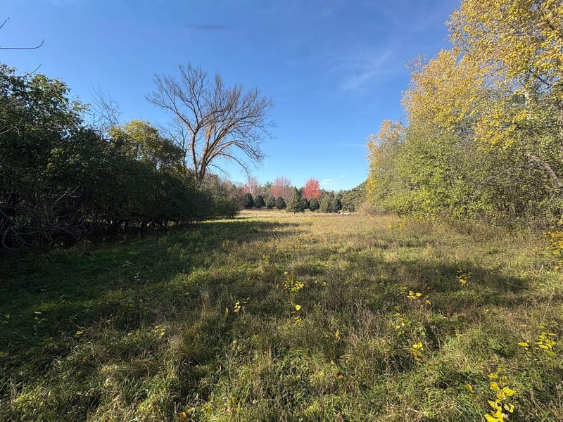 TBD Norsted Ave S, Afton, MN 55001