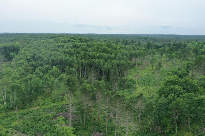 TBD N Larsen Rd, Lenroot Twp, WI 54843