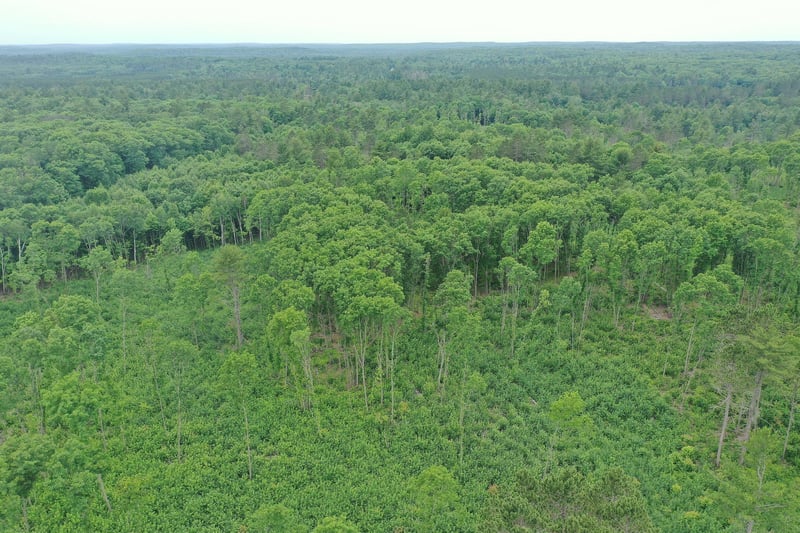 TBD N Larsen Rd, Lenroot Twp, WI 54843