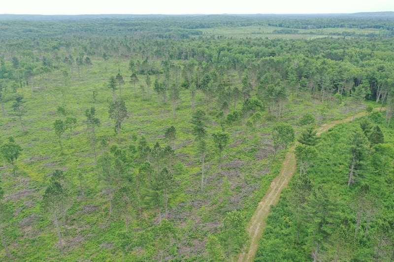 TBD N Larsen Rd, Lenroot Twp, WI 54843