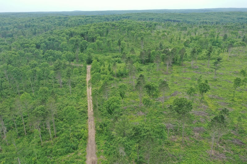 TBD N Larsen Rd, Lenroot Twp, WI 54843