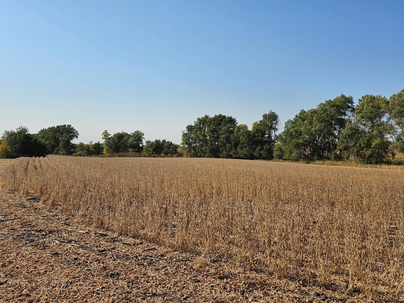 - Mamre Twp, Pennock, MN 56279