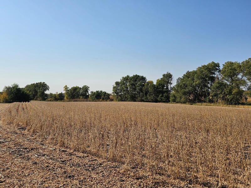 - Mamre Twp, Pennock, MN 56279
