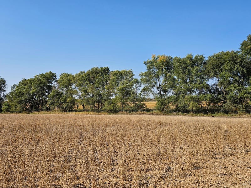 - Mamre Twp, Pennock, MN 56279