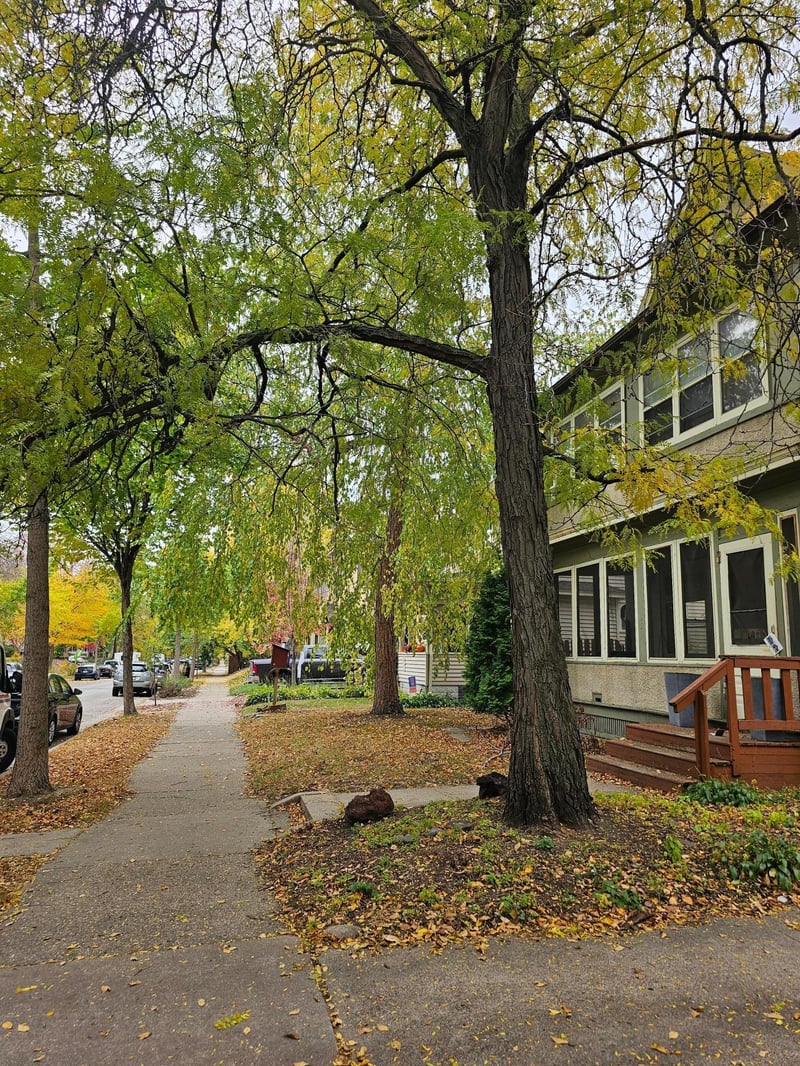 3126 Emerson Ave S, Minneapolis, MN 55408