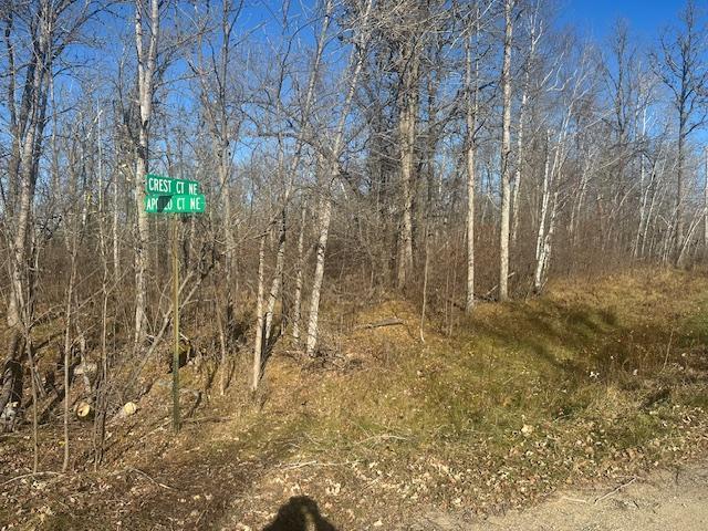 TBD Crest Ct NE, Bemidji, MN 56601