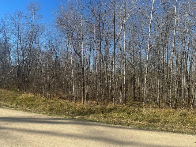 TBD Crest Ct NE, Bemidji, MN 56601