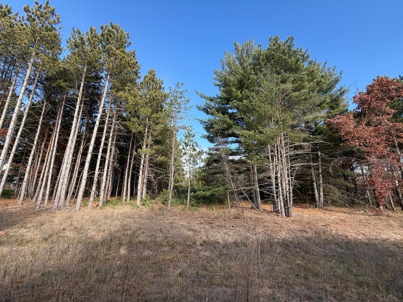 0 262nd Ave NW, Big Lake, MN 55309