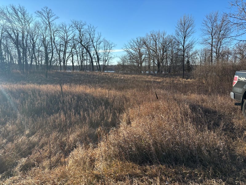 TBD Leaf River Rd, Ottertail, MN 56571